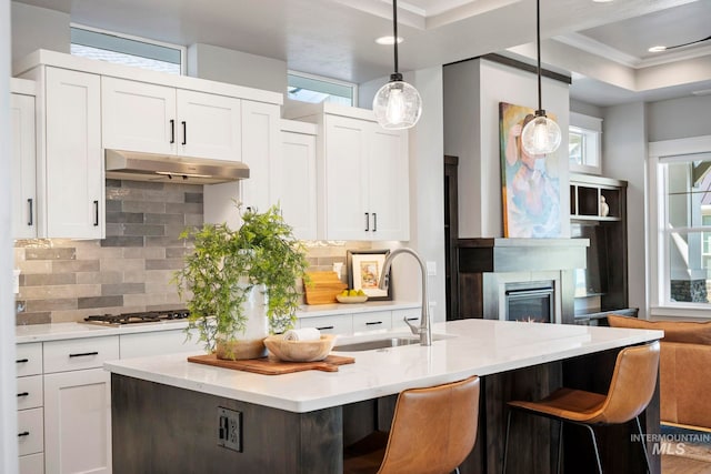 5033 S Hill Farm Ln, Meridian, ID 83642 - kitchen with under cabinet range hood, a sink, a glass covered fireplace, decorative backsplash, and white cabinets