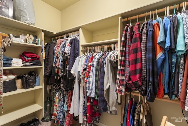 2310 W Herron Loop, Nampa, ID 83686 - view of walk in closet