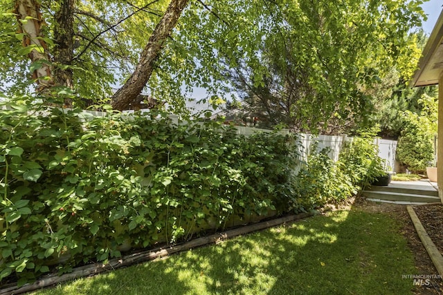2310 W Herron Loop, Nampa, ID 83686 - view of yard