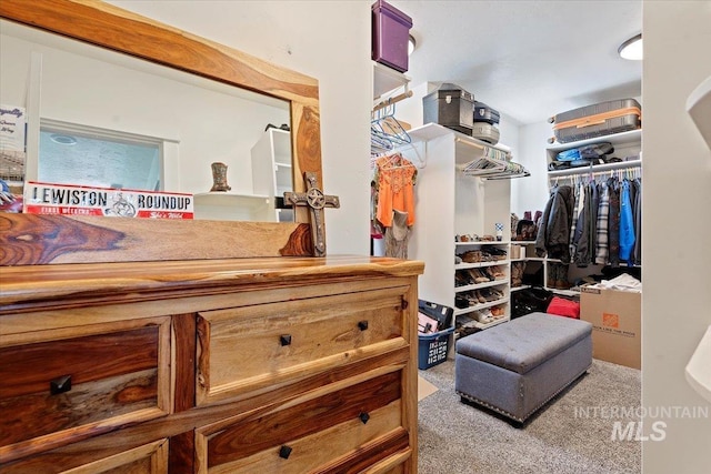 15916 Hill Top Cir, Wilder, ID 83676 - walk in closet with carpet flooring