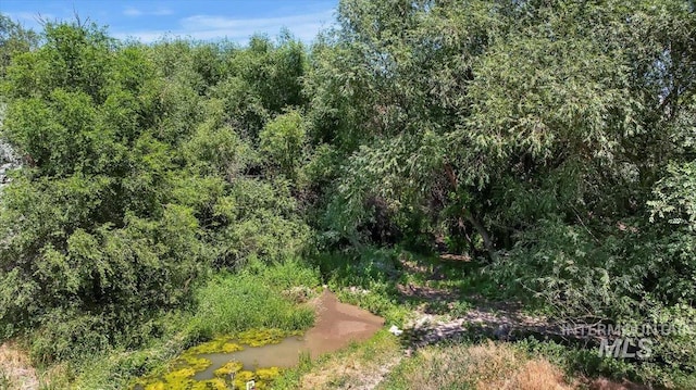 15916 Hill Top Cir, Wilder, ID 83676 - view of nature