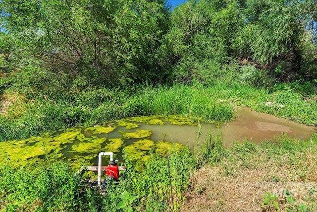 15916 Hill Top Cir, Wilder, ID 83676 - view of yard