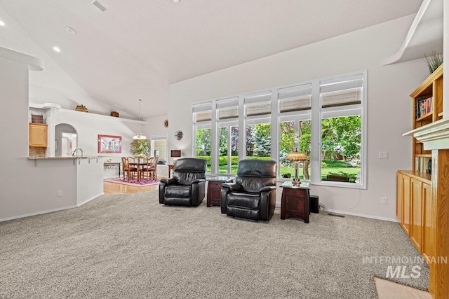 living area featuring carpet, baseboards, and high vaulted ceiling