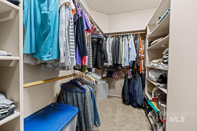walk in closet featuring carpet floors