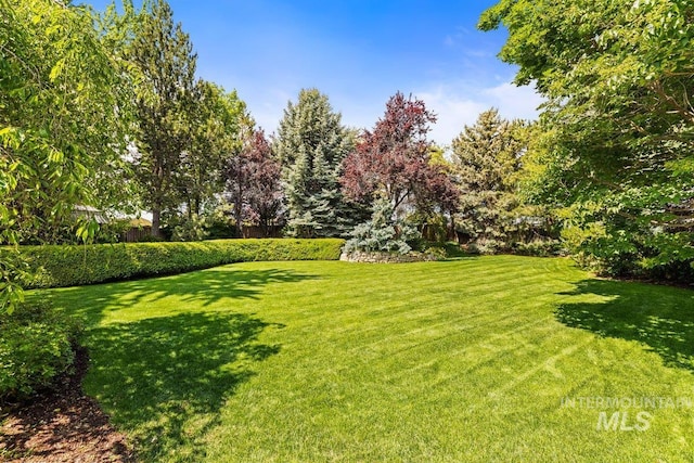 view of grassy yard