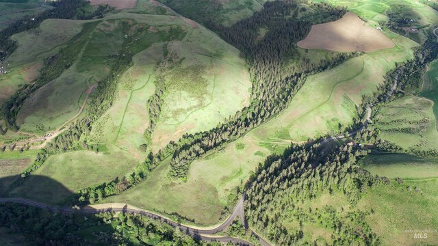TBD Kettenbaugh Grade, Culdesac, ID 83534