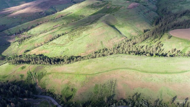 TBD Kettenbaugh Grade, Culdesac, ID 83534