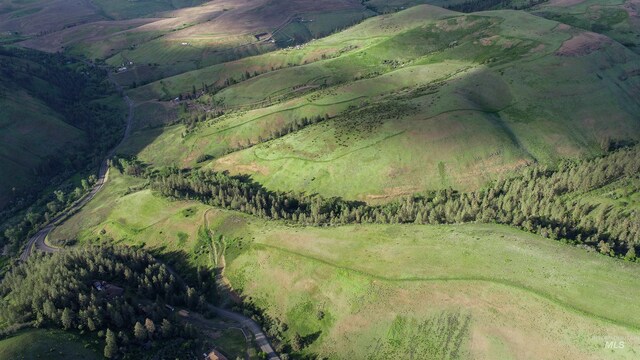 TBD Kettenbaugh Grade, Culdesac, ID 83534