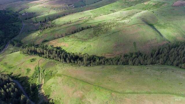 TBD Kettenbaugh Grade, Culdesac, ID 83534