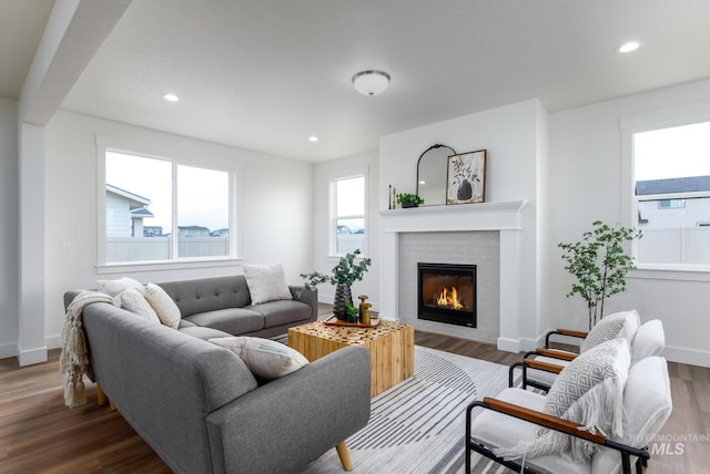 living room featuring hardwood / wood-style floors