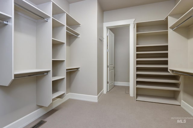 spacious closet featuring carpet floors