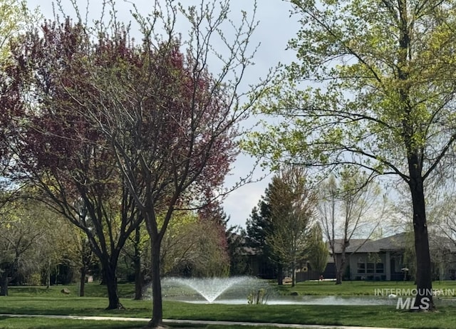 view of property's community featuring a lawn and a water view