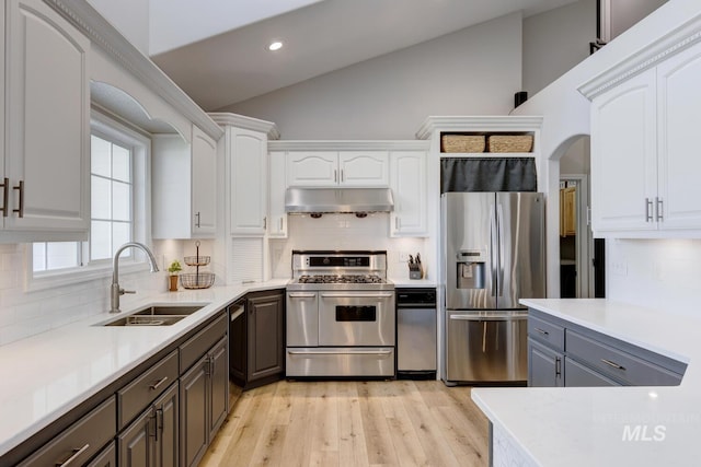 10551 W Deep Canyon Dr, Star, ID 83669 - kitchen featuring stainless steel appliances, range hood, vaulted ceiling, white cabinets, and tasteful backsplash