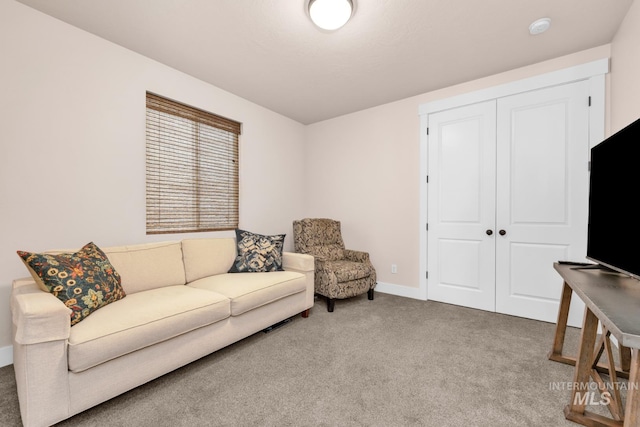 10179 Silversun St, Nampa, ID 83687 - living area with carpet floors and baseboards