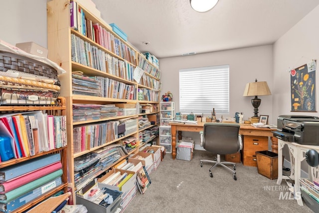 10179 Silversun St, Nampa, ID 83687 - office area with carpet