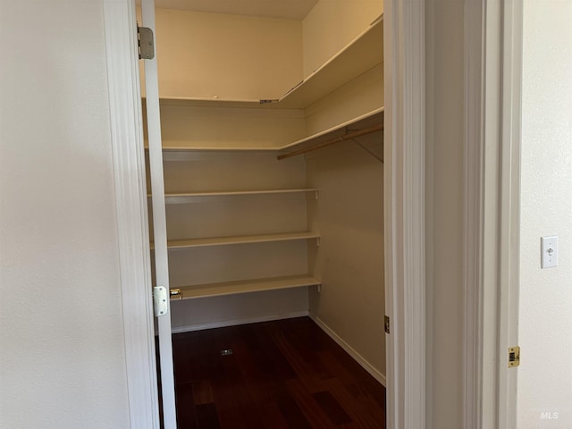 spacious closet featuring dark hardwood / wood-style flooring