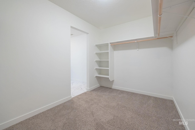 12476 W Kempshire Ct, Star, ID 83669 - spacious closet with carpet flooring