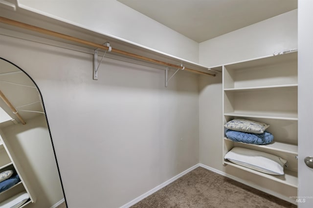 walk in closet featuring carpet