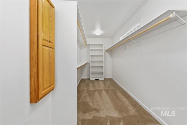 628 E Trinidad Dr, Meridian, ID 83642 - walk in closet featuring carpet floors
