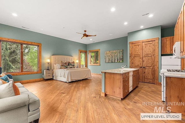 1040 W Bogus Vw, Eagle, ID 83616 - bedroom with multiple windows, visible vents, and light wood-type flooring