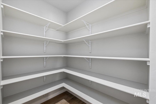 4849 N Willowside Ave, Meridian, ID 83646 - view of pantry