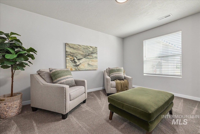 4849 N Willowside Ave, Meridian, ID 83646 - sitting room featuring carpet, baseboards, and a textured ceiling