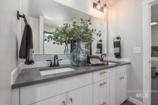 4849 N Willowside Ave, Meridian, ID 83646 - bathroom with double vanity
