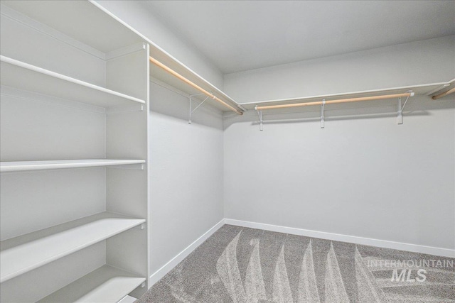 4849 N Willowside Ave, Meridian, ID 83646 - walk in closet with carpet