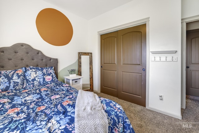 812 Kelli Ln, Filer, ID 83328 - bedroom with a closet and carpet floors