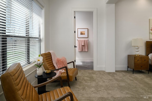 living area featuring carpet floors