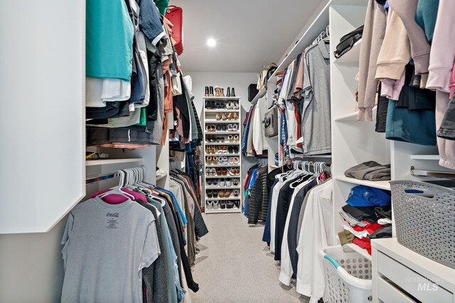 205 S Sunniva Ave, Kuna, ID 83634 - spacious closet with carpet flooring