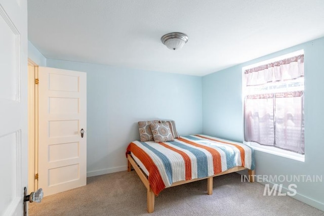 517 E C St, Moscow, ID 83843 - carpeted bedroom with baseboards