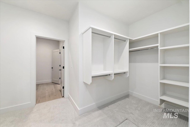 walk in closet with light carpet