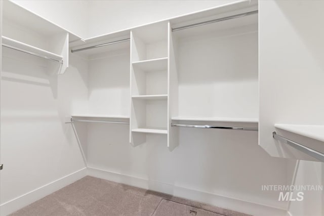 spacious closet featuring carpet