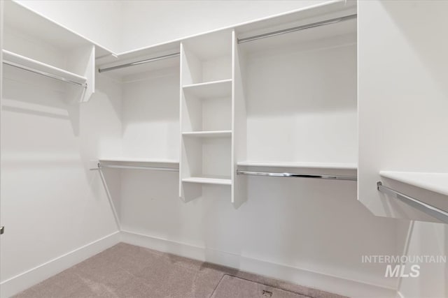 spacious closet featuring light colored carpet