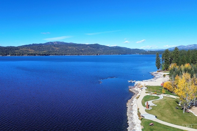 10421 Easy St, Mccall, ID 83638