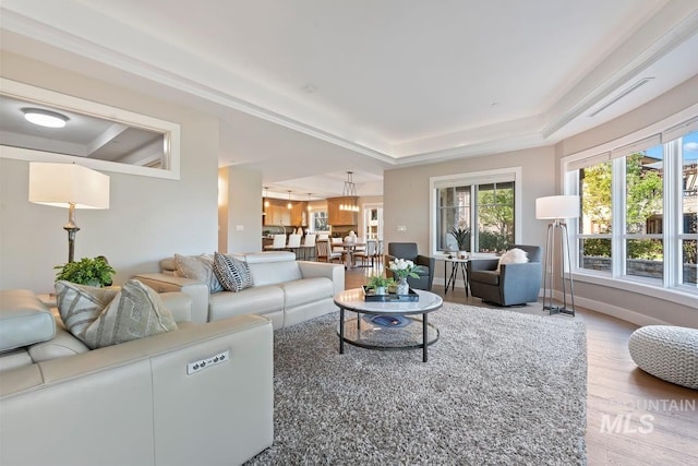 living area with a raised ceiling and wood finished floors