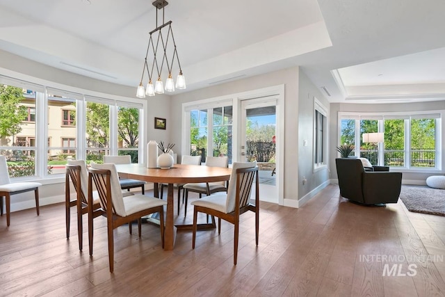 dining space featuring a raised ceiling, baseboards, plenty of natural light, and wood finished floors