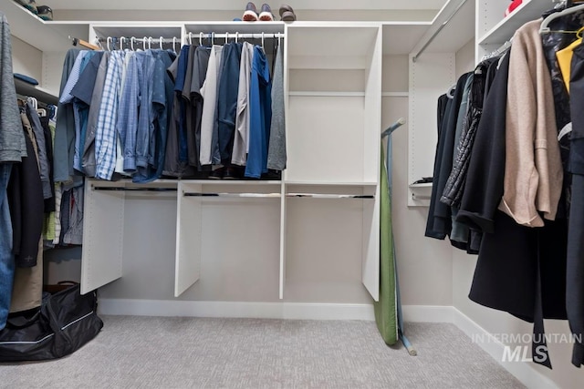 walk in closet featuring carpet floors