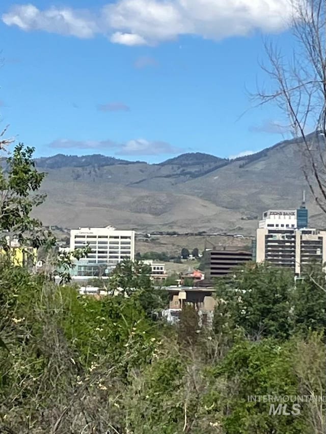 mountain view