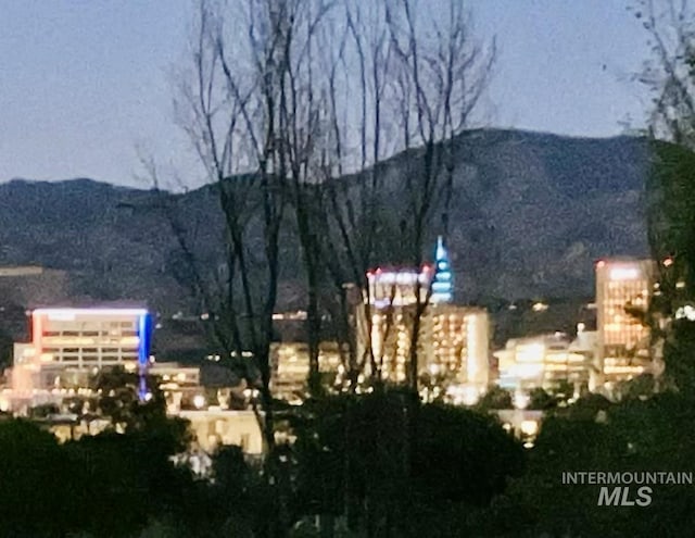 view of mountain feature