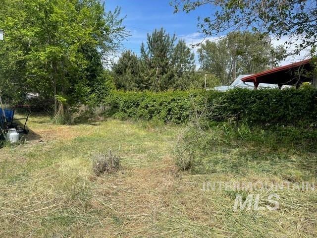 510 E Arthur Ave, Glenns Ferry, ID 83623 - view of yard