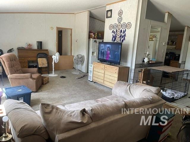 510 E Arthur Ave, Glenns Ferry, ID 83623 - living area with carpet floors