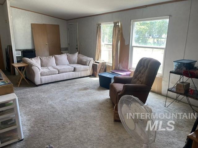 510 E Arthur Ave, Glenns Ferry, ID 83623 - carpeted living area featuring vaulted ceiling and crown molding