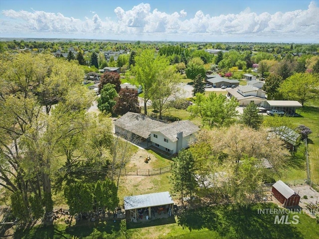 bird's eye view