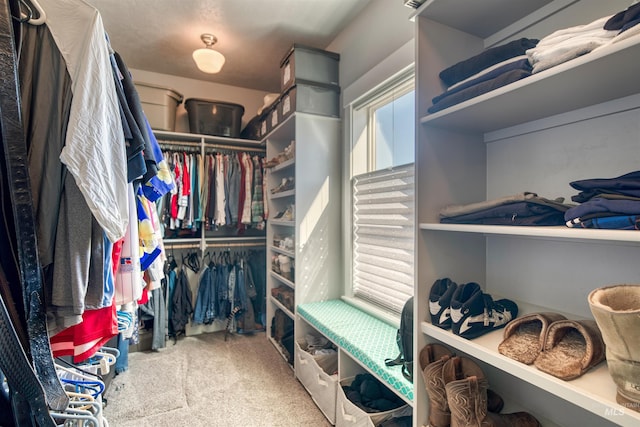 spacious closet featuring carpet floors