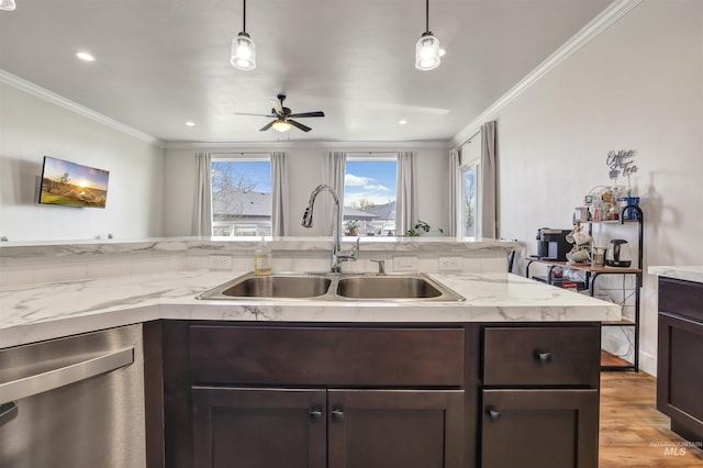 kitchen featuring ceiling fan, stainless steel dishwasher, dark brown cabinetry, ornamental molding, and a sink