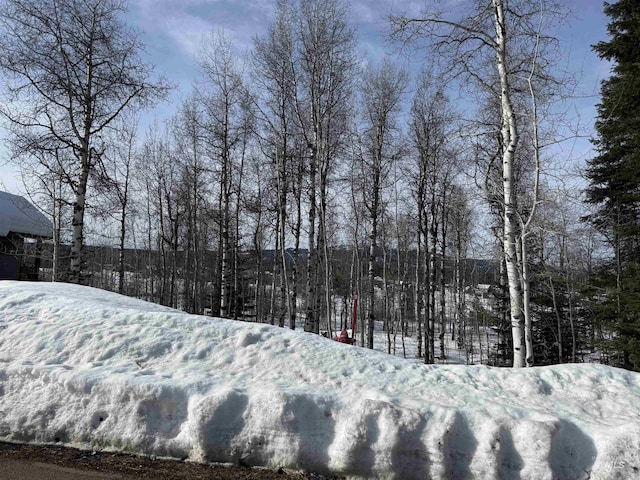 1340 Aspen Ridge Ln, Mccall, ID 83638