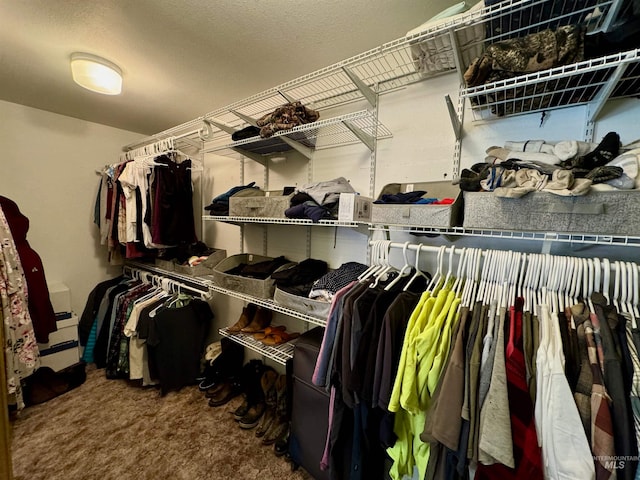 walk in closet featuring carpet floors