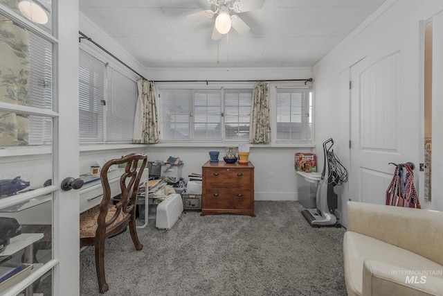 office with carpet, ceiling fan, and ornamental molding